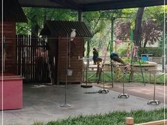 -石家庄市动物园