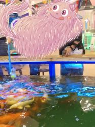 -哈尼鹿儿童乐园(兰州东瓯店)