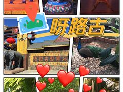 -呀路古热带植物园