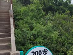 -大岭沟猕猴桃谷风景区