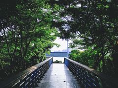 -立新湖公园