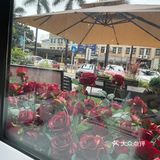 Jasper杰斯帕初尝GELATO