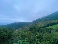 -敬亭山风景名胜区