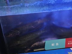 -鱼酷活鱼烤鱼(南京水游城店)