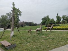 -白鹭湾湿地公园