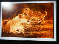 -罗红摄影艺术馆