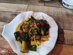 -东鸽皇(奥园·中环广场店)