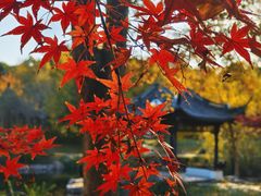 -泰州凤城河风景区-泰山公园