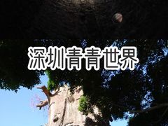 -青青世界