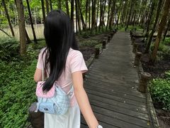 -桤木河湿地公园