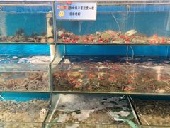 -仙螺岛海鲜自助餐厅(总店)