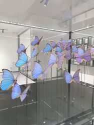 -酷嗒动物文化乐园(cutezoo西溪乐天城店)