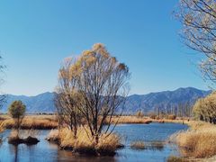 -野鸭湖国家湿地公园