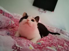 -Pita's&Tika's中东和印度风味餐厅(龙湖天街店)