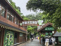 -野象谷景区