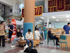 -联合动物医院(光谷诊疗中心)