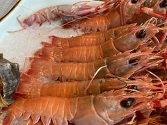 -枫千叶精致料理