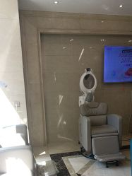 -碧莲盛·不剃发植发