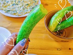 -途肴·老农饭庄(百里峡店)