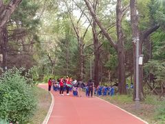 -长春市南湖公园