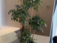 -金熊猫川菜餐厅