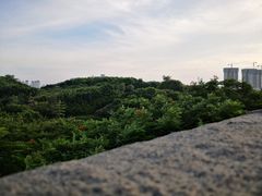 -五通灯塔公园