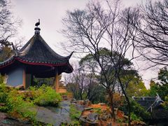 -香雪海