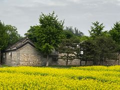 -北坞公园
