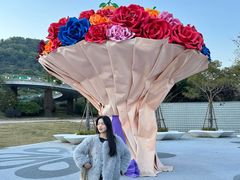 -东南花都花博园