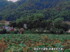 -红山村