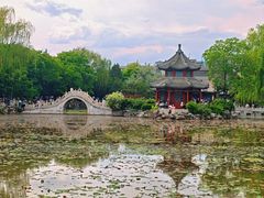 -莲池书院博物馆