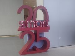 -上海浦东smart汽车全功能店(金桥店)