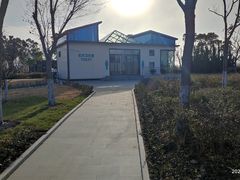 -春花秋色城市公园