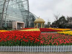 -南山植物园