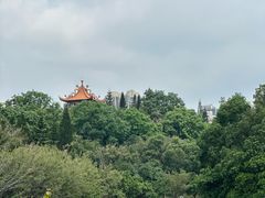 -深圳龙潭公园