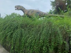 -自贡恐龙博物馆