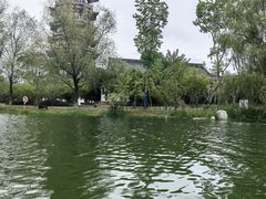 -洋湖国家湿地公园