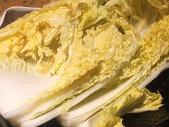 娃娃菜-尚品小土屋涮毛肚(李沧万达店)