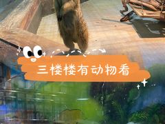 -顺德南宏海立方海洋公园