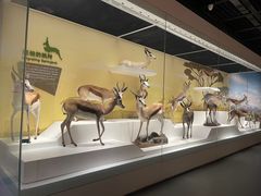 -陕西自然博物馆