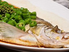 -新光酒家·河豚·海鲜·蟹料理(浦东店)