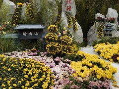 -南山植物园