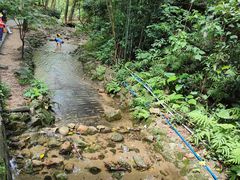 -火炉山森林公园