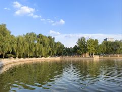 -莲花池公园