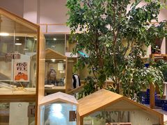 -屋虎猫馆(宝安大仟里店)