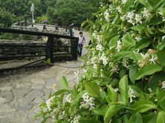 -民间老鸡汤面馆(中山北路店)