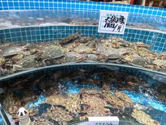 -晓伟海鲜家常菜