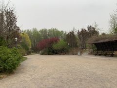 -北极寺公园