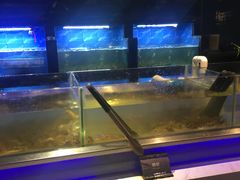 -V-ONE西雅图海鲜自助餐厅(仓山万达广场店)