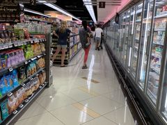 -新加坡瑞士史丹福酒店